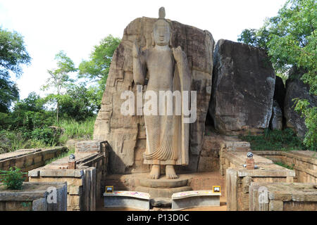 Aukana debout les statues de Bouddha du Bouddha près de Kekirawa dans le centre-nord du Sri Lanka Banque D'Images