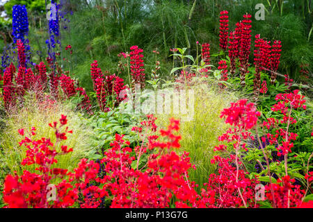 Colorés et dynamiques jardin frontière avec le rouge, jaune, bleu et vert Fleurs Banque D'Images