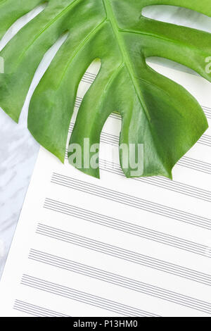 Feuilles de palmiers tropicaux, Monstera, sur papier à musique de feuille vierge. Sons de la nature ou de la musique tropicale concept. Banque D'Images