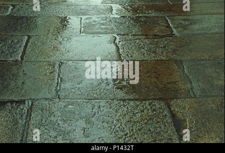 Pavage mouillé dans la ville Banque D'Images