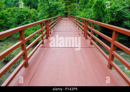 Pont sur la forêt tropicale dans le parc national Khao Yai, Thaïlande Banque D'Images