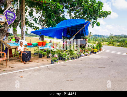 Les femmes sri-lankaises assis tendant un blocage des routes typiques de la vente de fleurs, de fruits et de produits locaux, Horagampita district, près de Galle, Sri Lanka Banque D'Images