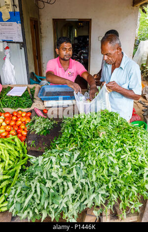 Exposant dans un milieu rural et légumes en bordure de décrochage d'épicerie vend des produits frais à un homme Horagampita local, district, près de Galle, Sri Lanka Banque D'Images