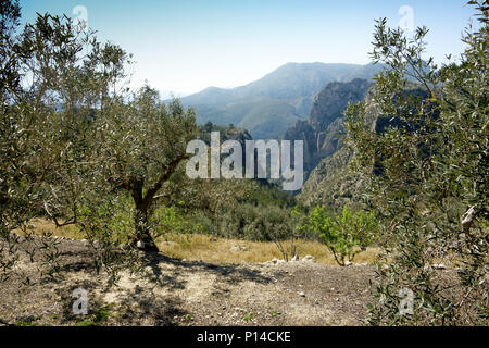 La Sierra Bernia montagne randonnée sur la Costa Blanca, Espagne Banque D'Images