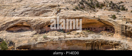 Close-up vue panoramique de l'Ancestral Puebloan Cliff dwellings le long du cycle de lavage de Butler porte oreilles National Monument dans le sud-est, de l'Utah Banque D'Images