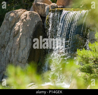 Jardins Japonais Chute d'amitié Banque D'Images