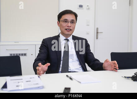 (180611) -- Hanovre, 11 juin 2018 (Xinhua) -- Huang Luqi, académicien de l'Académie chinoise d'ingénierie et de vice-président exécutif de l'Académie des Sciences médicales chinoises du Canada (CAFMC), prend la parole lors d'un entretien avec l'agence de presse Xinhua à Hanovre, Allemagne, le 8 juin 2018. Huang Luqi attend que la médecine traditionnelle chinoise (MTC) Centre ouvert en Hanovre sera développée comme une démonstration de l'outre-mer centres TCM avec conjoints déployés par toutes les parties, et plus les résultats seront réalisés dans la coopération sino-allemandes en MTC. (Xinhua/Shan Yuqi) (hy) Banque D'Images