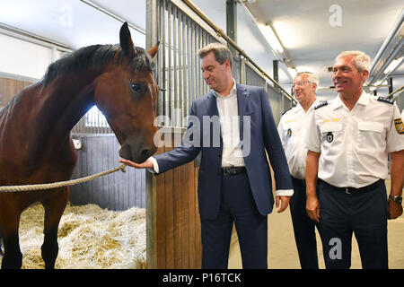 Markus SOEDER (Ministre Président de la Bavière) avec la police l'Orion dans les écuries. Premier ministre Markus Soeder rider visites de la police relais Munich le 11.06.2018. Les coureurs de la police bavaroise s'assurer plus de sécurité dans l'espace public, notamment dans les parcs et jardins. Dans le cadre de sa déclaration, le premier ministre, le Dr Markus Soder pour configurer un relais rider dans chaque ville bavaroise. Dans le cadre d'une visite à l'Reiterstaffel Muenchen Markus Soeder est démontré d'une visite guidée de la zone de service du relais a rider Dienstpferden avec préparation du déploiement. Dans le monde d'utilisation | Banque D'Images