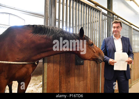 Markus SOEDER (Ministre Président de la Bavière) avec la police l'Orion dans les écuries. Premier ministre Markus Soeder rider visites de la police relais Munich le 11.06.2018. Les coureurs de la police bavaroise s'assurer plus de sécurité dans l'espace public, notamment dans les parcs et jardins. Dans le cadre de sa déclaration, le premier ministre, le Dr Markus Soder pour configurer un relais rider dans chaque ville bavaroise. Dans le cadre d'une visite à l'Reiterstaffel Muenchen Markus Soeder est démontré d'une visite guidée de la zone de service du relais a rider Dienstpferden avec préparation du déploiement. Dans le monde d'utilisation | Banque D'Images