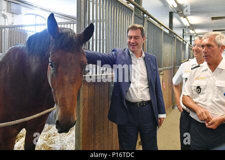 Markus SOEDER (Ministre Président de la Bavière) avec la police l'Orion dans les écuries. Premier ministre Markus Soeder rider visites de la police relais Munich le 11.06.2018. Les coureurs de la police bavaroise s'assurer plus de sécurité dans l'espace public, notamment dans les parcs et jardins. Dans le cadre de sa déclaration, le premier ministre, le Dr Markus Soder pour configurer un relais rider dans chaque ville bavaroise. Dans le cadre d'une visite à l'Reiterstaffel Muenchen Markus Soeder est démontré d'une visite guidée de la zone de service du relais a rider Dienstpferden avec préparation du déploiement. Dans le monde d'utilisation | Banque D'Images