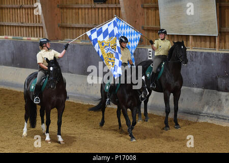 Police à cheval, police squad sur les chevaux au cours de la formation, de l'exercice. Premier ministre Markus Soeder rider visites de la police relais Munich le 11.06.2018. Les coureurs de la police bavaroise s'assurer plus de sécurité dans l'espace public, notamment dans les parcs et jardins. Dans le cadre de sa déclaration de gouvernement, le premier ministre, le Dr Markus Soeder, de mettre en place un relais rider dans chaque ville bavaroise. Dans le cadre d'une visite à l'Reiterstaffel Muenchen Markus Soeder est démontré d'une visite guidée de la zone de service du relais a rider Dienstpferden avec préparation du déploiement. Dans le monde d'utilisation | Banque D'Images