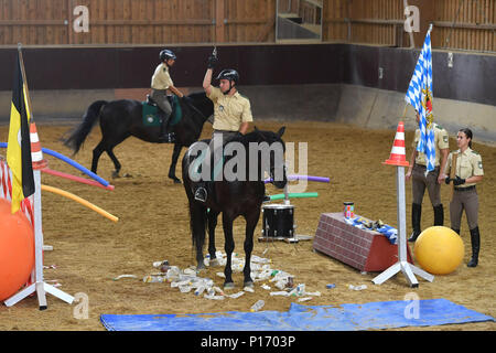 Police à cheval, police squad sur les chevaux au cours de la formation, de l'exercice. Premier ministre Markus Soeder rider visites de la police relais Munich le 11.06.2018. Les coureurs de la police bavaroise s'assurer plus de sécurité dans l'espace public, notamment dans les parcs et jardins. Dans le cadre de sa déclaration de gouvernement, le premier ministre, le Dr Markus Soeder, de mettre en place un relais rider dans chaque ville bavaroise. Dans le cadre d'une visite à l'Reiterstaffel Muenchen Markus Soeder est démontré d'une visite guidée de la zone de service du relais a rider Dienstpferden avec préparation du déploiement. Dans le monde d'utilisation | Banque D'Images