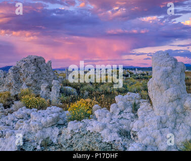 Le coucher du soleil, des formations de tuf, lac Mono, Mono Basin National Forest Scenic Area, Inyo National Forest, l'Est de la Sierra, en Californie Banque D'Images