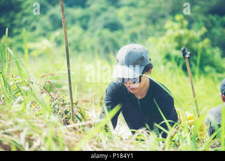 Les femmes asiatiques faisant de reboisement écologique, Parc National en Thaïlande Banque D'Images