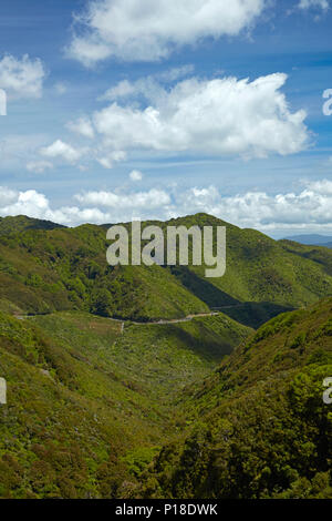 Rimutaka Hill Road, près de Wellington, Île du Nord, Nouvelle-Zélande Banque D'Images