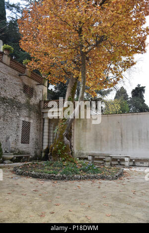 Fontaine murale d'angle dans la cour de la fontaine de Tivoli (fontaine ovale) Villa D'Este, Tivoli, Italie. Banque D'Images