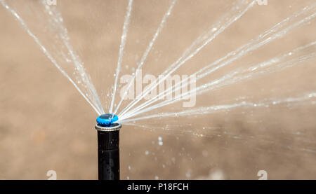 Jardin pelouse automatique arrosage arrosage en action Banque D'Images