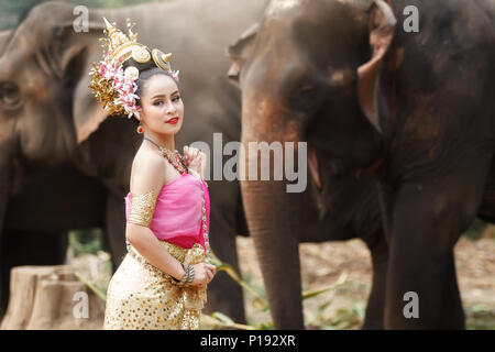 Jolie fille thaïe en costumes traditionnels thaïlandais avec des éléphants Banque D'Images