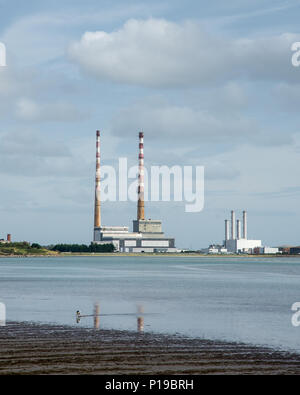 Un chien nage dans la baie de Dublin à Sandymount Strand Beach, avec la vue des cheminées de Poolbeg Twin Power Station passant le Port de Dublin dans la distance. Banque D'Images