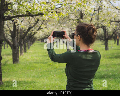 Jeune femme de prendre une photo de la vue lors d'une randonnée dans un parc national avec un téléphone intelligent Banque D'Images