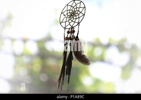 Un Dream Catcher contre un arrière-plan flou de feuilles. Banque D'Images