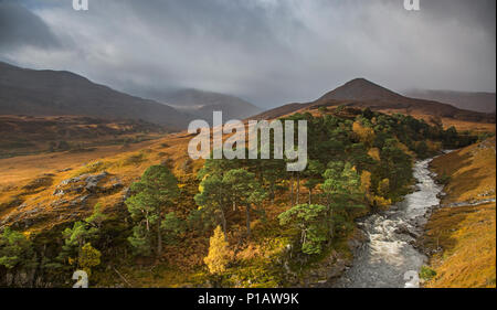 Glen tranquille paysage et rivière, Glen Strathfarrar, Ecosse Banque D'Images