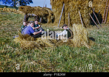 Pause 'Harvest', l'agriculture, la création d'un millésime de foin. Lieu inconnu à l'intérieur du Royaume-Uni au début de l'automne 1965 Banque D'Images