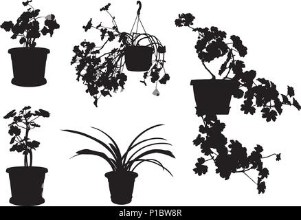 Ensemble de différentes fleurs en pots isolated on white Illustration de Vecteur