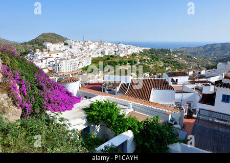 Les rues ensoleillées et des maisons blanchies à la chaux à Frigiliana, Andalousie, espagne. Banque D'Images