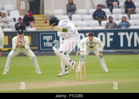 Chester le Street, en Angleterre, 11 juin 2018. Wayne Madsen du Derbyshire tente d'éviter la balle mais est capturé et joué par Matthew contre Salisbury dans leur comté de Durham Specsavers match de championnat à l'Unis Riverside. Crédit : Colin Edwards/Alamy Live News. Banque D'Images