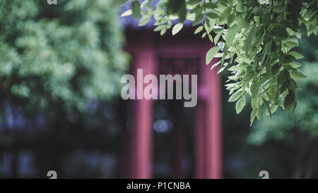 Shanghai, Shanghai, Chine. 12 Juin, 2018. Shanghai, Chine- Qiuxia Garden est un jardin classique bien connu à Shanghai, Chine. Crédit : SIPA Asie/ZUMA/Alamy Fil Live News Banque D'Images