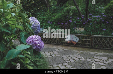 Shanghai, Shanghai, Chine. 12 Juin, 2018. Shanghai, Chine- Qiuxia Garden est un jardin classique bien connu à Shanghai, Chine. Crédit : SIPA Asie/ZUMA/Alamy Fil Live News Banque D'Images