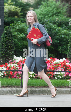 London UK. 12 juin 2018. Elizabeth Truss, député Secrétaire en chef à l'Treasuryarrives à Downing Street pour la réunion hebdomadaire du cabinet le jour où les députés sont mis à commencer à voter sur les amendements à l'UNION EUROPÉENNE Le retrait de loi présenté par la Chambre des Lords : Crédit amer ghazzal/Alamy Live News Banque D'Images