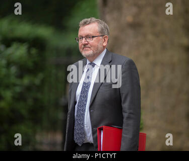 Downing Street, London, UK. 12 juin 2018. David Mundell, Secrétaire d'État pour l'Écosse, à Downing Street pour réunion hebdomadaire du cabinet. Credit : Malcolm Park/Alamy Live News. Banque D'Images