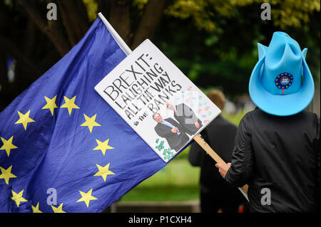 Londres, Royaume-Uni. 12 juin 2018. Un Brexit manifestant porte un Arron (laisser les banques.EU) fondateur de l'étiquette inspirée au cours d'une manifestation devant les Chambres du Parlement en tant que députés commencent deux jours de débat et vote sur les amendements à la Loi. Retrait de l'UE Crédit : Stephen Chung / Alamy Live News Banque D'Images