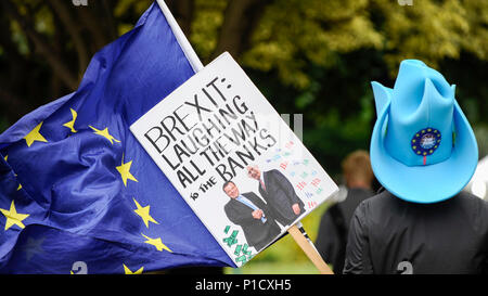 Londres, Royaume-Uni. 12 juin 2018. Un Brexit manifestant porte un Arron (laisser les banques.EU) fondateur de l'étiquette inspirée au cours d'une manifestation devant les Chambres du Parlement en tant que députés commencent deux jours de débat et vote sur les amendements à la Loi. Retrait de l'UE Crédit : Stephen Chung / Alamy Live News Banque D'Images