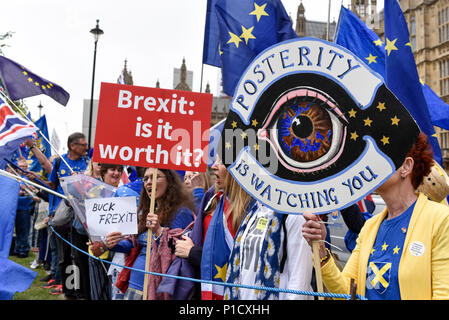 Londres, Royaume-Uni. 12 juin 2018. Anti-Brexit protestataires manifester devant les Chambres du Parlement en tant que députés commencent deux jours de débat et vote sur les amendements à la Loi. Retrait de l'UE Crédit : Stephen Chung / Alamy Live News Banque D'Images