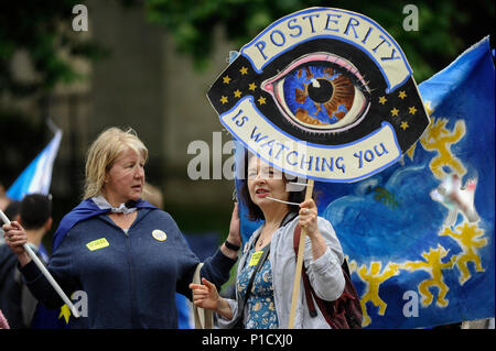 Londres, Royaume-Uni. 12 juin 2018. Anti-Brexit protestataires manifester devant les Chambres du Parlement en tant que députés commencent deux jours de débat et vote sur les amendements à la Loi. Retrait de l'UE Crédit : Stephen Chung / Alamy Live News Banque D'Images