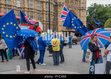 Londres, Royaume-Uni. 12 juin 2018. Comme le débat de la Chambre des communes sur l'Brexit approches traiter, les membres de SODEM et autres Brexit, pro-UE des groupes se rassemblent à l'extérieur du Parlement pour une protestation se trouve pas de tartes. Crédit : Guy Bell/Alamy Live News Banque D'Images