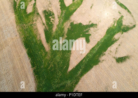 Près de terres agricoles irriguées et sec Bendigo, Central Otago, île du Sud, Nouvelle-Zélande - Antenne de drone Banque D'Images