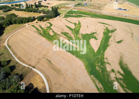 Près de terres agricoles irriguées et sec Bendigo, Central Otago, île du Sud, Nouvelle-Zélande - Antenne de drone Banque D'Images