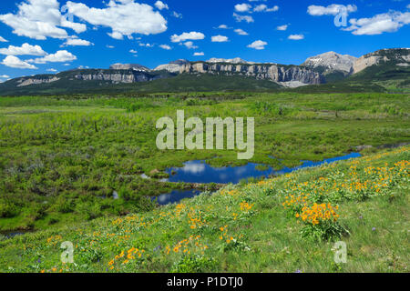 Les zones humides et sur la colline de deltoïdes en dessous de la rocky mountain/près de bynum, Montana Banque D'Images