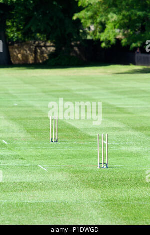 Les souches sur le terrain de cricket à l'aire de jeu (connu sous le nom de domaine) de Merton le Christ Church College, Université d'Oxford, en Angleterre. Banque D'Images