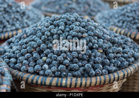 Panier de paille fraîche pleine de baies d'acai dans un marché de rue dans la ville de Belém, au Brésil. Banque D'Images