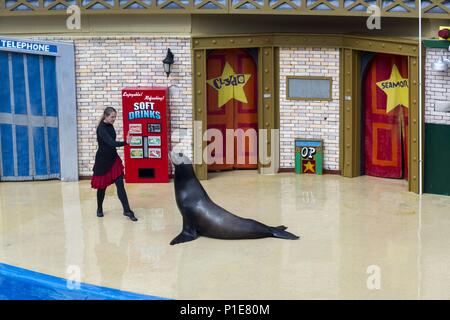 Trainer Girl and Sea Lion sur scène pendant le Clyde and Seamore Live Show dans le célèbre SeaWorld de Californie de San Diego ou le parc à thème de Sea World Banque D'Images