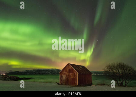 Northern Lights sur le Stønesbotn la nuit, Senja, Norvège Banque D'Images