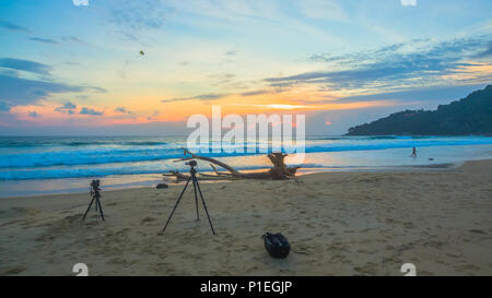 Le grand arbre mort a été brisée par les vagues sur la plage de Karon. Banque D'Images