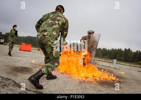 Soldats affectés au 1er Escadron, 33e de cavalerie, 101e Division aéroportée, sont formés par la police militaire portugais de 2e régiment de lanciers phobie durant un incendie Force de paix au Kosovo (KFOR) de l'exercice de répétition de mission (MRE) au Centre de préparation interarmées multinationale à Hohenfels, Allemagne, le 23 octobre. Les soldats sont des directives sur la façon d'éteindre eux-mêmes en toute sécurité et maintenir une position défensive face à des dispositifs incendiaires. (U.S. Photos de l'armée par la CPS. Adeline Witherspoon) Banque D'Images