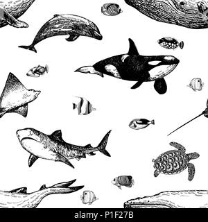 Motif de la main transparente style croquis animaux marins et poissons tropicaux isolé sur fond blanc. Vector illustration. Illustration de Vecteur