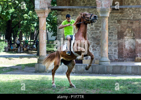 Nis, Serbie - 10 juin 2018 : jeune cavalier au cheval brun sur prairie dans la nature. Concept du sport et des loisirs Banque D'Images